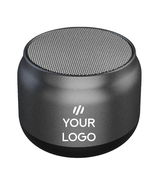 Mini desktop speaker