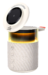 Charging speaker stand